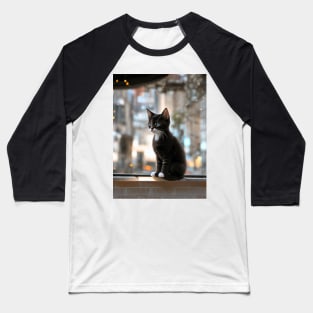 Cute kittens beautiful cats Baseball T-Shirt